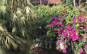 1 Bhk Luxury Beachside Homestay In South Goa