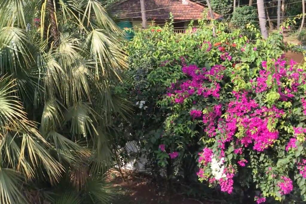 1 Bhk Luxury Beachside Homestay In South Goa Betalbatim Exterior photo